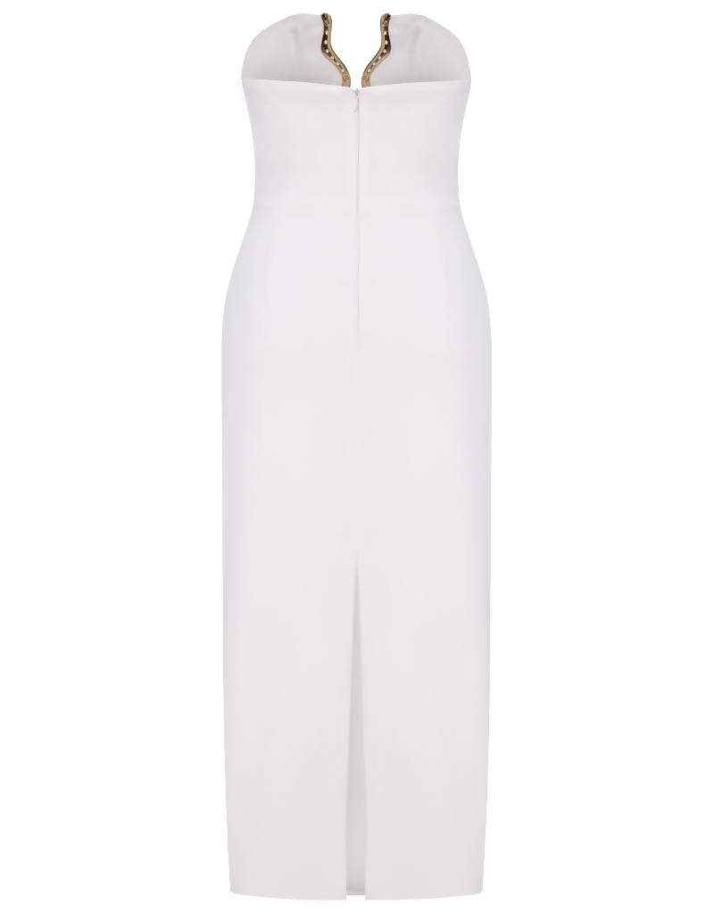 Resize image project (13)