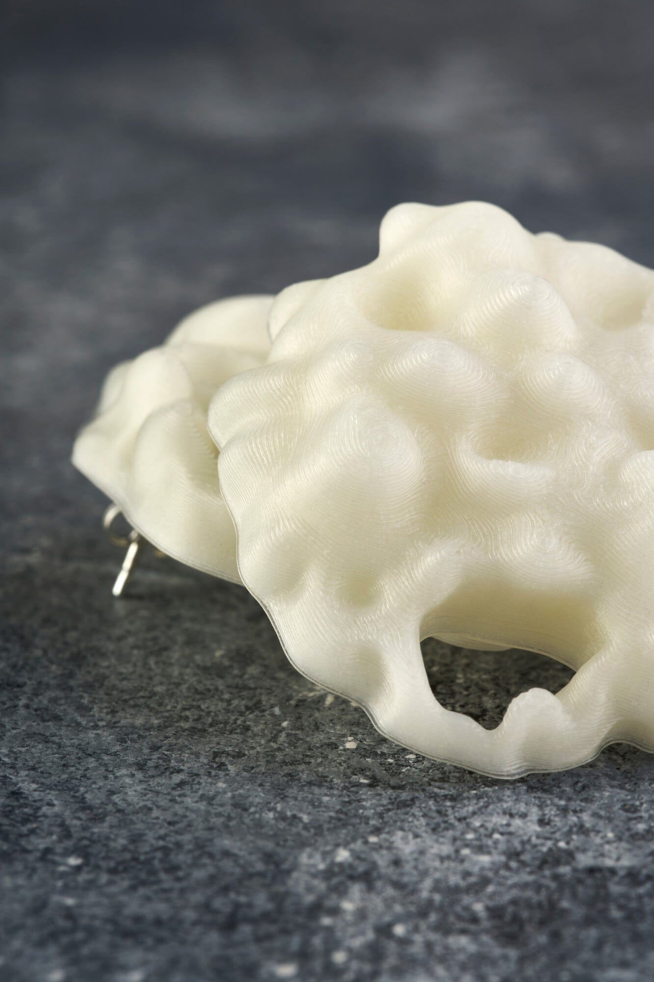 Ardora vieira Earrings Suagongo