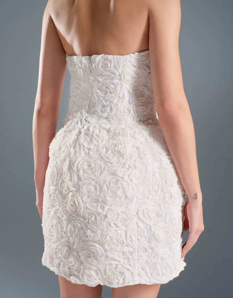 Resize image project (3)