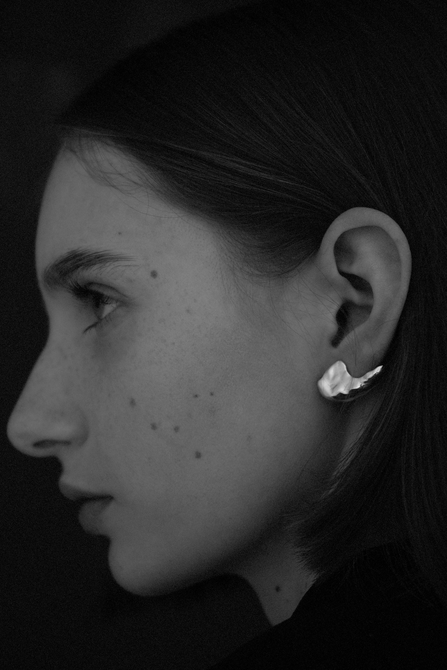 Vice Versa Silver Earnings