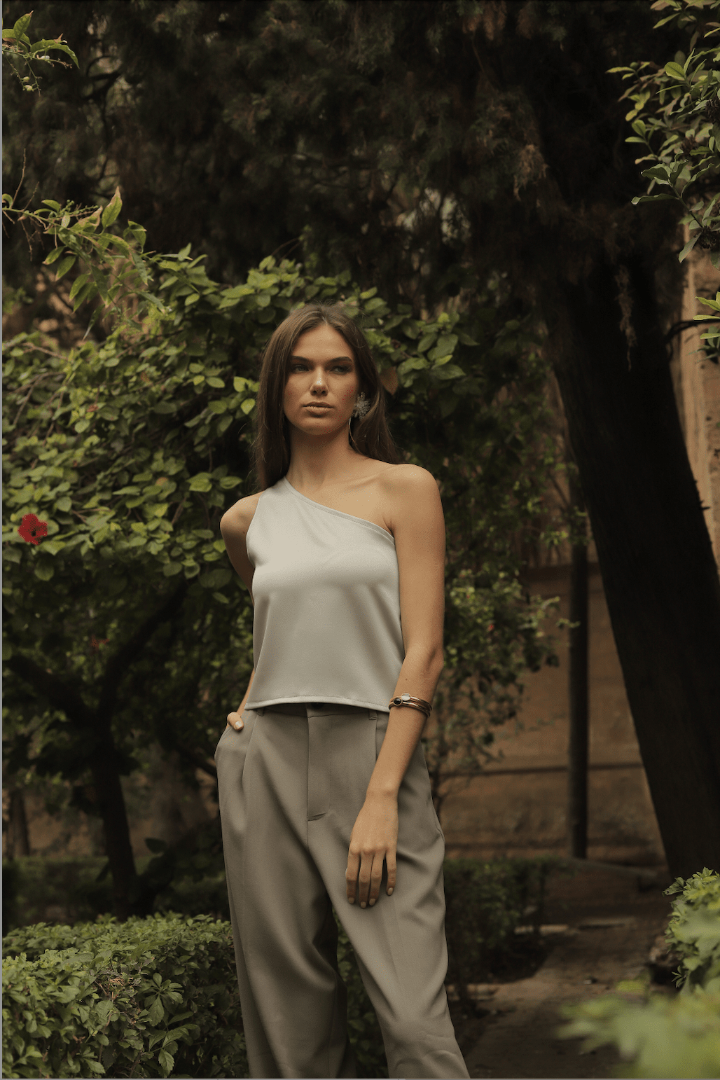 Sofía Silver Blouse Blouses Montilitas