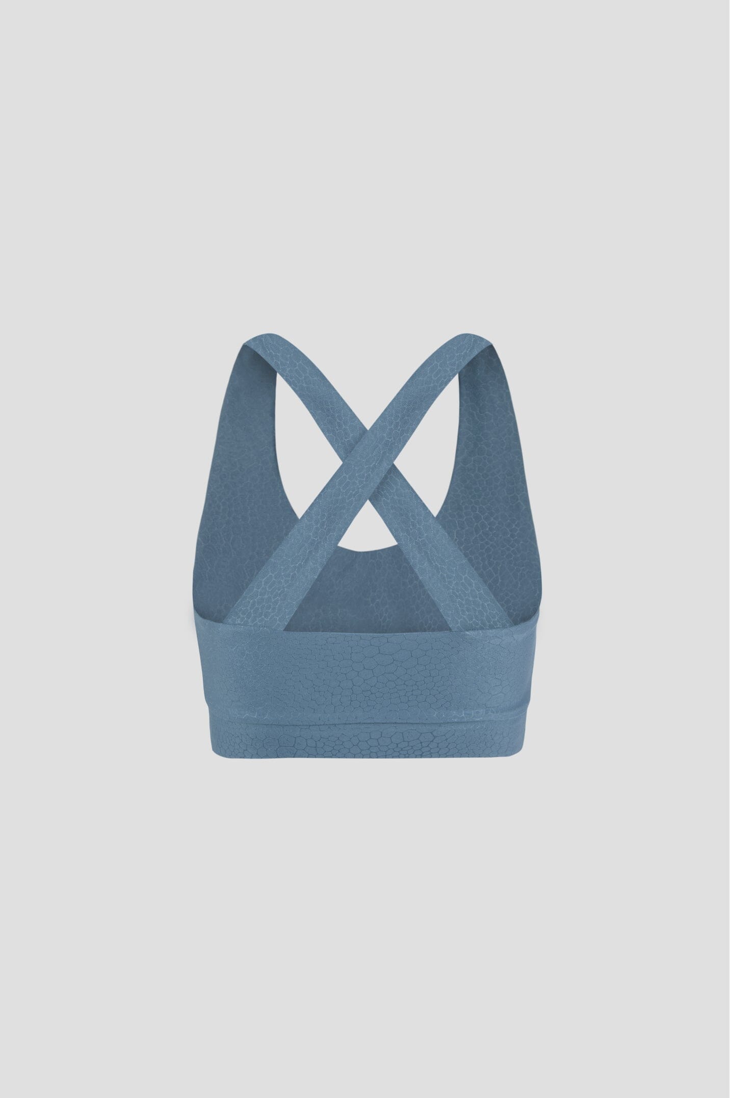 Vivid Blue Paw Print Top Sports Bra Bradhy