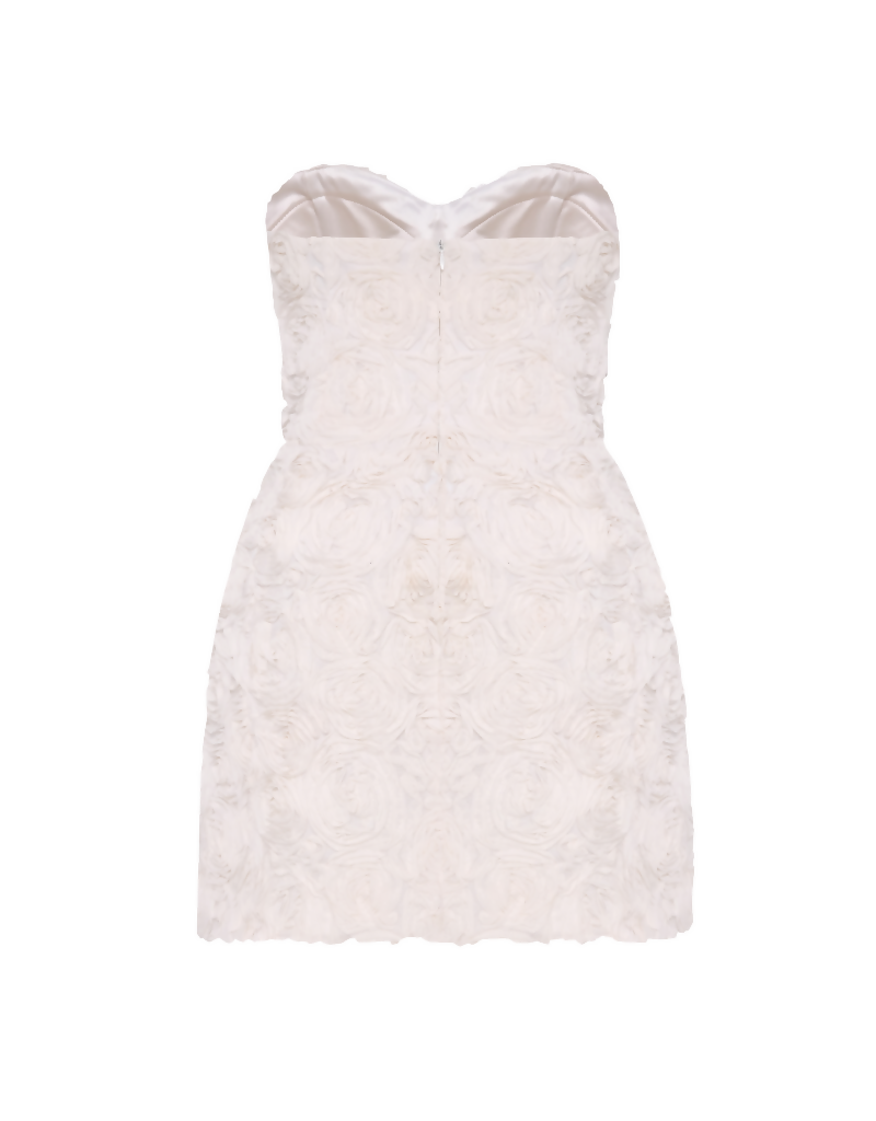 Resize image project (14)