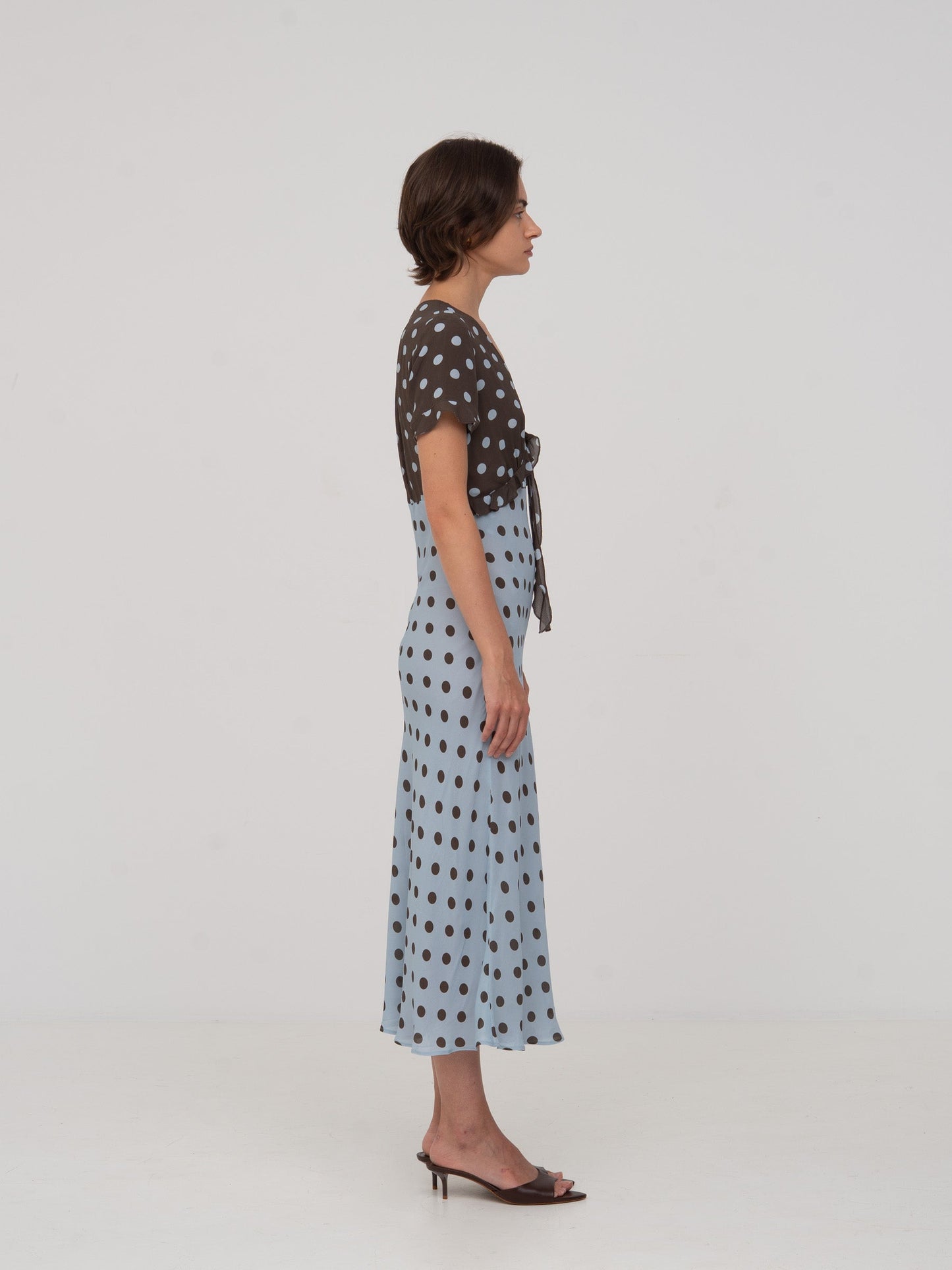 Paris Polka Dot Dress