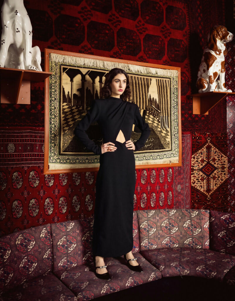 Roshan Dress – LabelRow