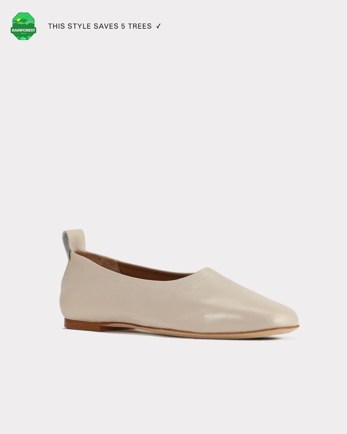 The Foundation Flat - Ivory